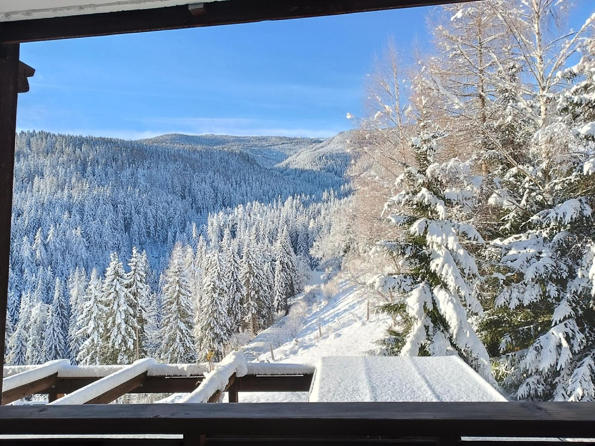 Bergkristall Ruhe Und Aussicht Auf 1100M Sankt Lorenzen ob Murau Exterior foto